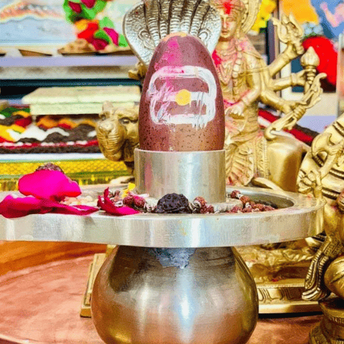 RUDRABHISHEK